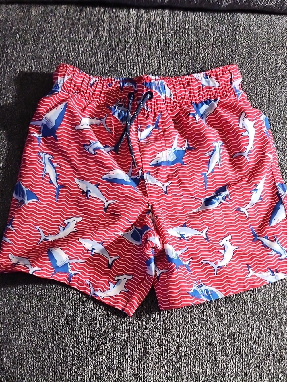 Wonder Nation Red Swim Trunks with Blue and White Dolphin Print